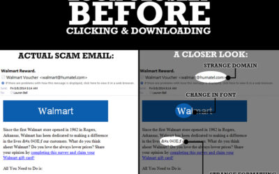 Phishing Email Scams: What to Look For