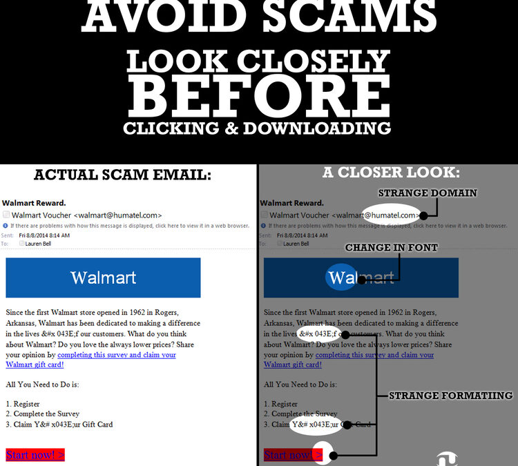 Phishing Email Scams: What to Look For